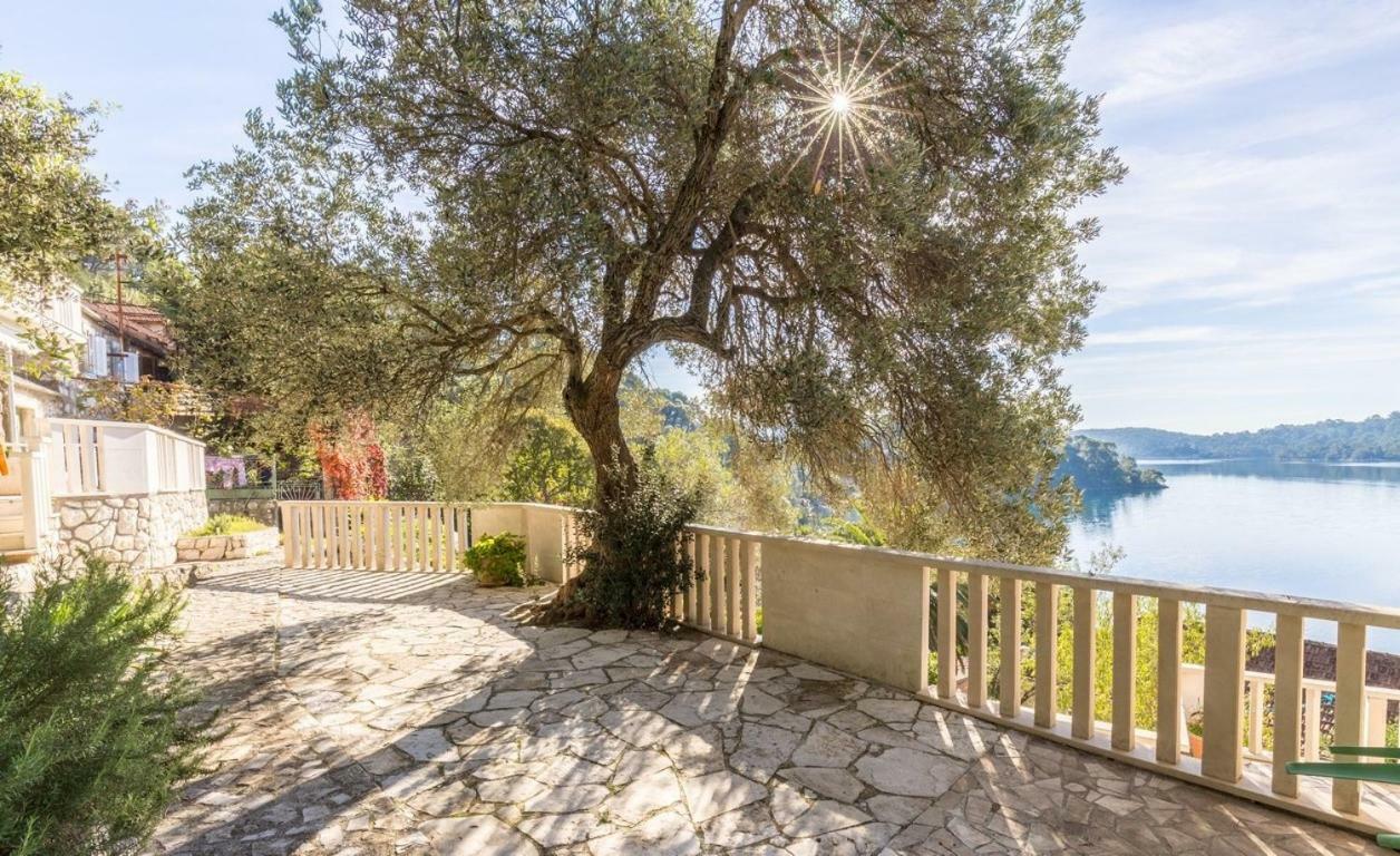 Appartamento Pansion Mali Raj Goveđari Esterno foto